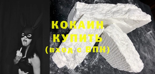 дживик Козельск
